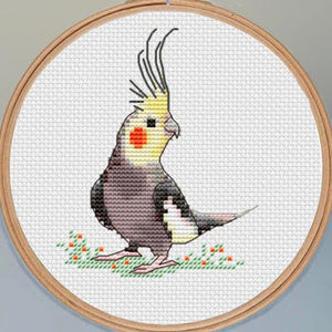 Meet your Posher, Tanya